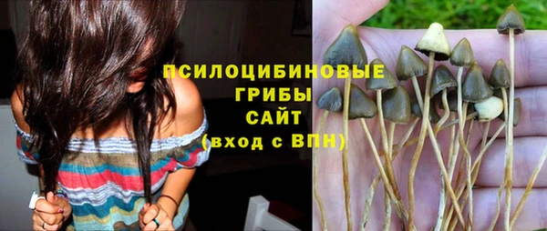 дурь Тавда