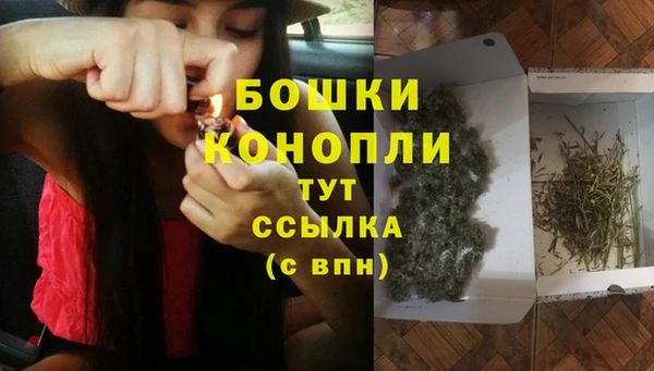 ешки Тайга
