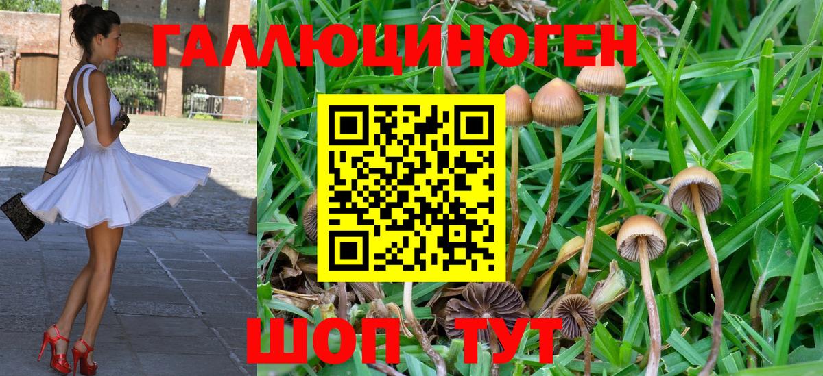 Псилоцибиновые грибы ЛСД Белово